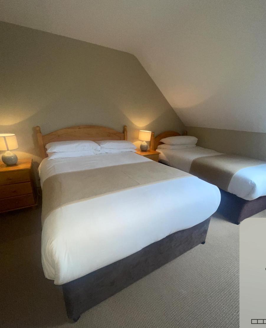 Dingle Harbour Nights Hotell Exteriör bild